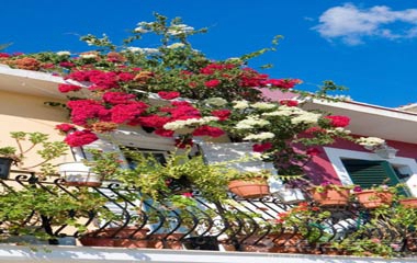 最美陽臺(tái)改造案例,4㎡的"秘密花園"!