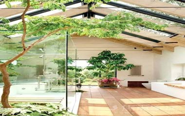 別以為用綠植點綴家,只是買盆植物那么簡單