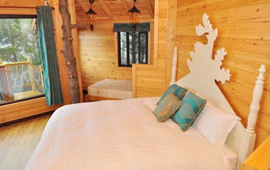 把房子在蓋在樹上——云峰山的森林童話樹屋