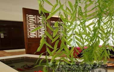 網購達人省錢裝修 17萬淘出102平混搭