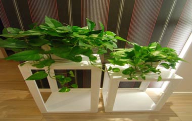 現代奢華瑞立中央花城家居