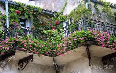 改花園改休閑區，可曬衣服怎么辦？