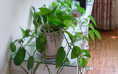 裝修設(shè)計帶回家，感受輕快簡約臺式風格